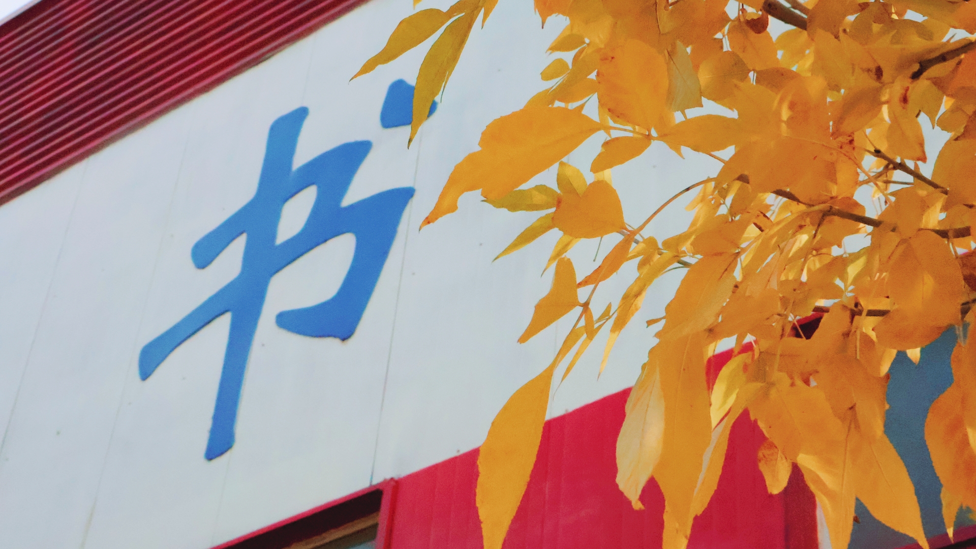 倏忽秋尽，掬一捧清北校园的秋色给你